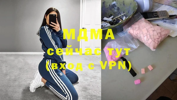 индика Нязепетровск